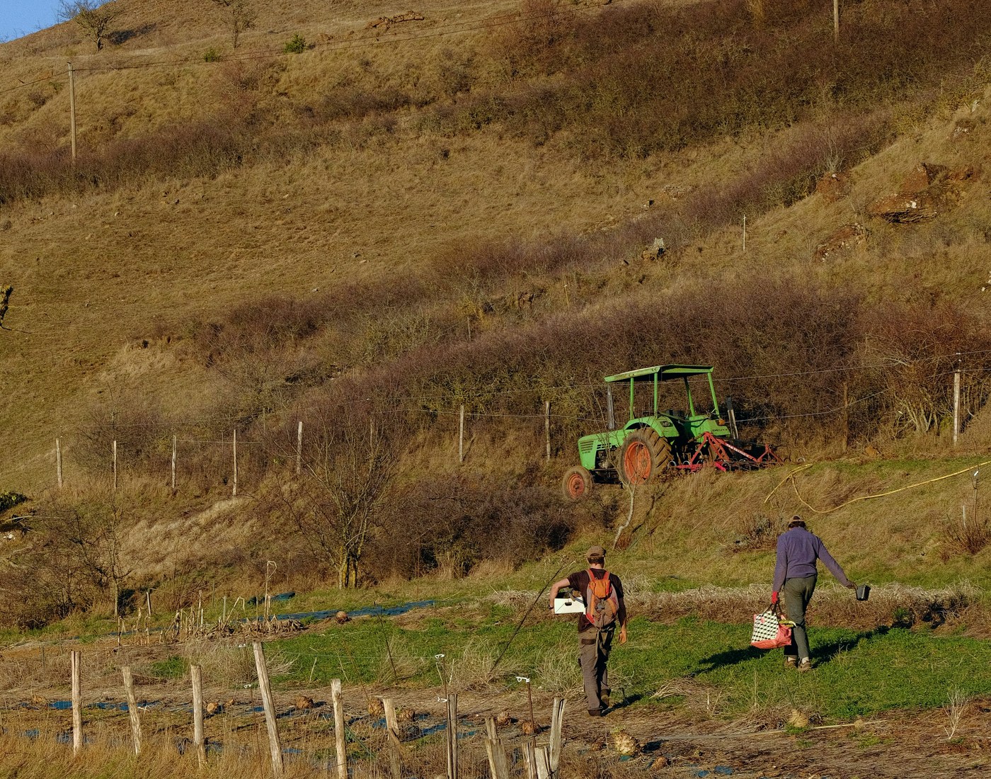Tractor trabajando en una explotación agrícola